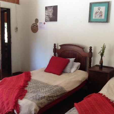Dijembe Backpackers Lodge Stormsrivier Buitenkant foto