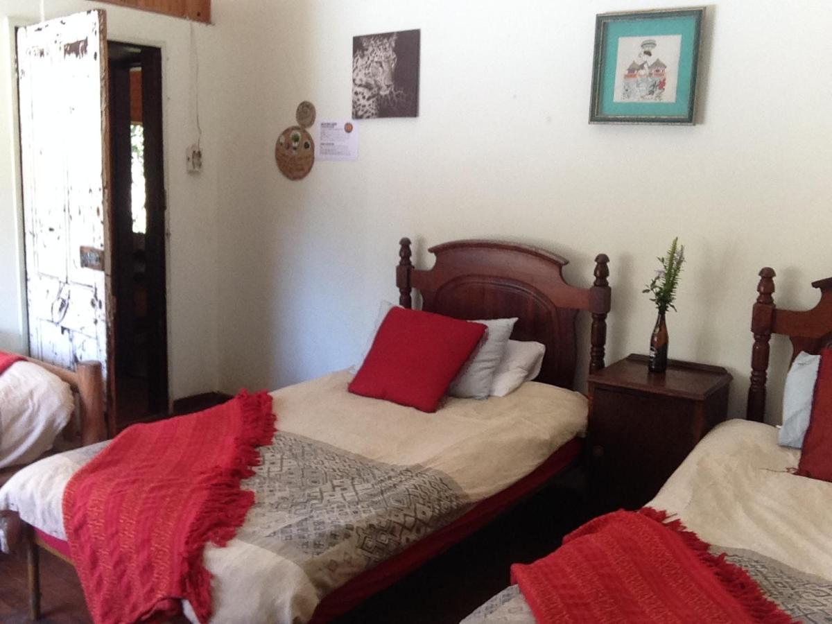 Dijembe Backpackers Lodge Stormsrivier Buitenkant foto