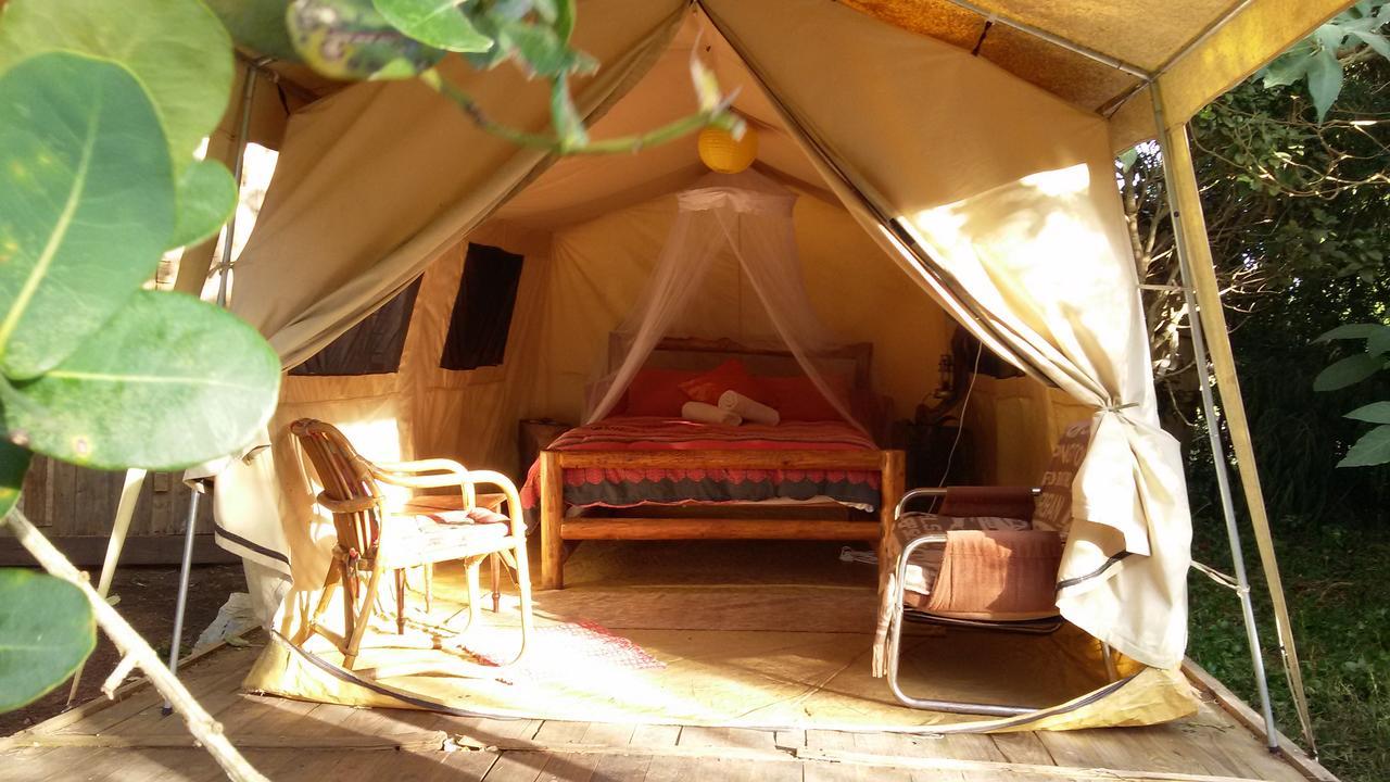 Dijembe Backpackers Lodge Stormsrivier Buitenkant foto